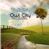 Owl City Free Download Skull Wallpaper