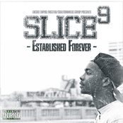 Slice 9 Lyrics Slice 9 Lyrics