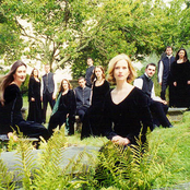 ESCUCHAR CANCIONES PIGNOISE escuchar canciones pignoise: