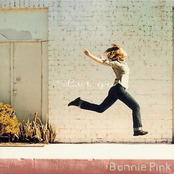 Bonnie Pink Chasing Hope Download