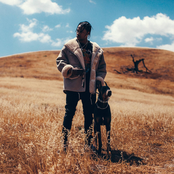 Travis Scott Goosebumps Lyrics Metrolyrics