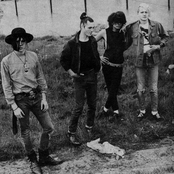cult übersetzung cult übersetzung