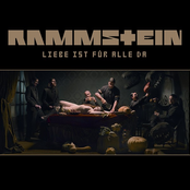 Rammstein Rosenrot Limited Edition
