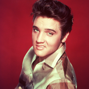 Elvis Presley - Blue Christmas Lyrics | MetroLyrics