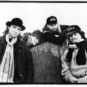 King missile lets have sex lyrics