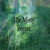 whispers of the misty forest(3:02)