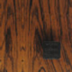 Audiac - Thank You For Not Discussing The Outside World Audiac - Thank You For Not Discussing The Outside World