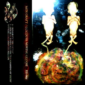 Dim Dusk Moving Gloom - Blinded By The Natty White Dim Dusk Moving Gloom - Blinded By The Natty White