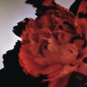 John Legend — Free listening, videos, concerts, stats and photos at Last.fm