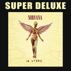 "in utero - 20th anniversary super deluxe"の画像