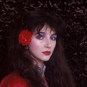 image for "kate bush"