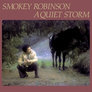 a quiet storm full album
