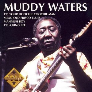 boom boom boom lyrics muddy waters