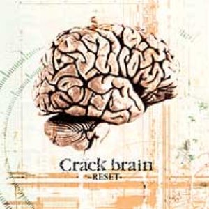Braina pro with crack
