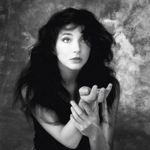 image for "kate bush"