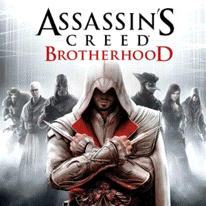 image for assassins creed brotherhood