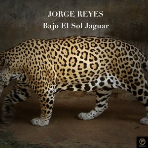 Jorge Reyes Pocito 11 Jorge Reyes Pocito 11