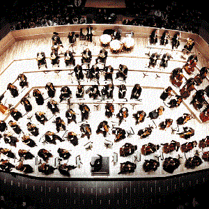 Philharmonia Orchestra Chords