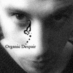 Organic Despair Chords