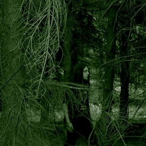 Marblebog - Forestheart Marblebog - Forestheart