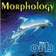 Morphology