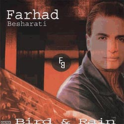 Farhad Besharati