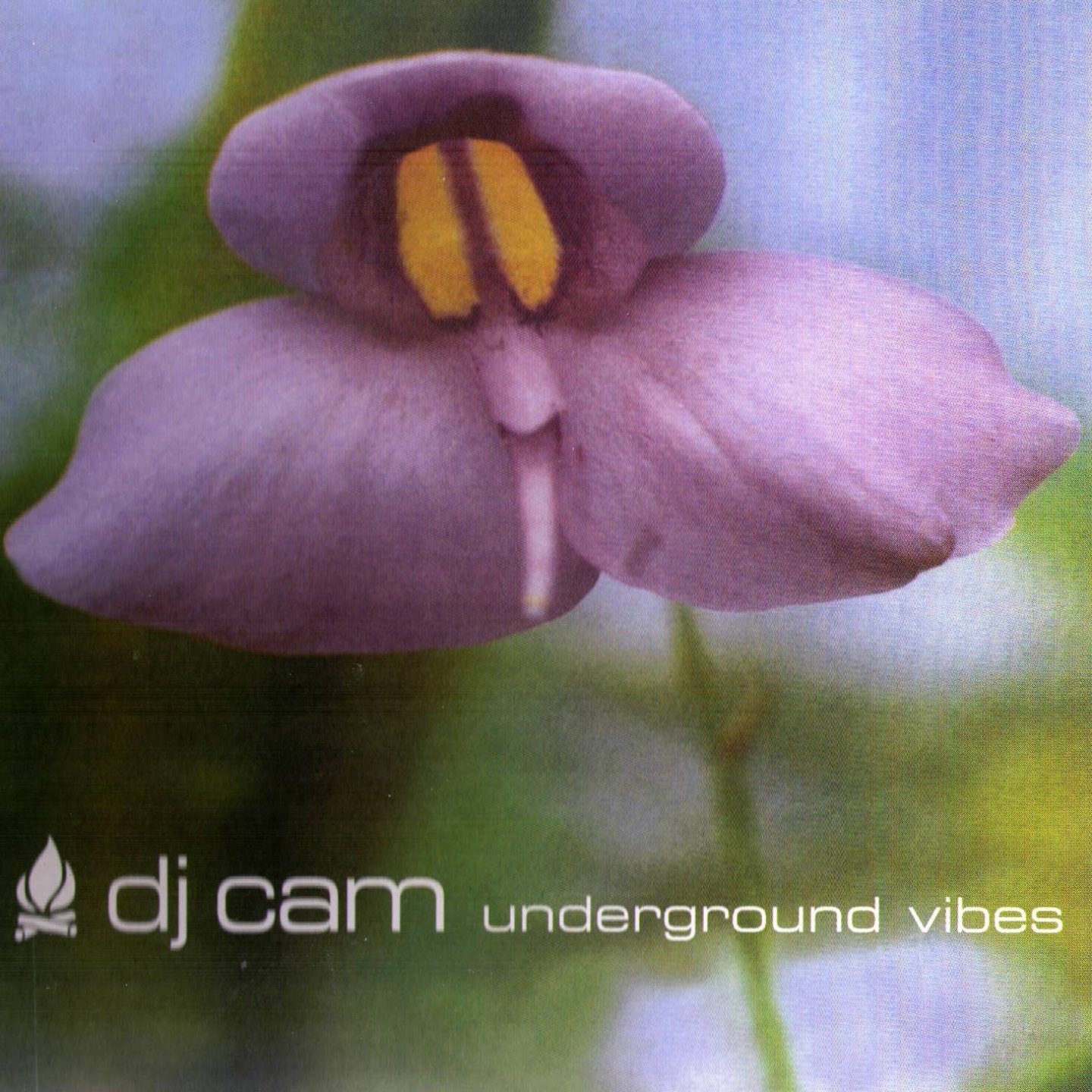 Underground Vibes Rar Download