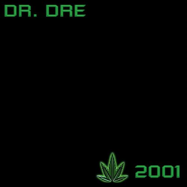 Dr Dre The Chronic Download Mp3