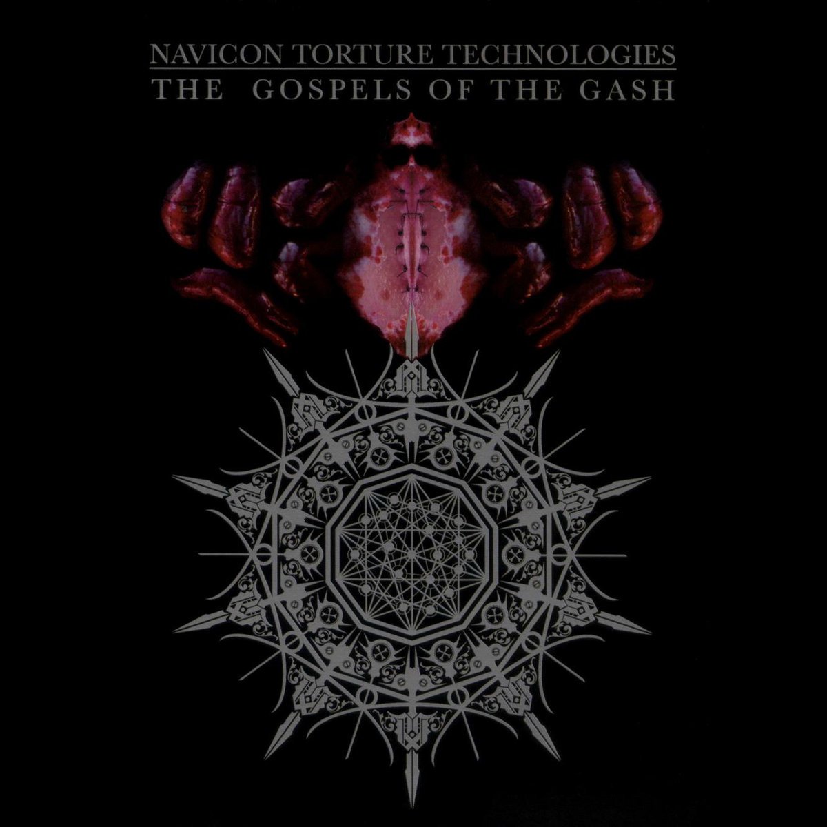 Navicon Torture Technologies - I Fucking Hate You All And I Hope You All Fucking Die. Navicon Torture Technologies - I Fucking Hate You All And I Hope You All Fucking Die.