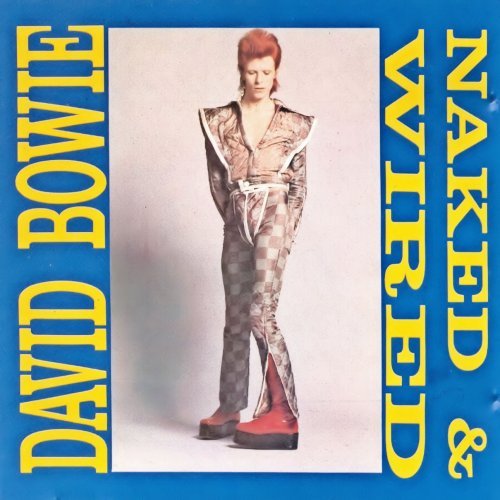 David Bowie Naked 49