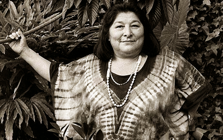 Facts about mercedes sosa #5