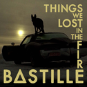 Things We Lost In The Fire Artwork
