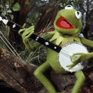 "kermit the frog"的封面