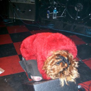 The Swankys The Very Best Of Hero The Swankys The Very Best Of Hero