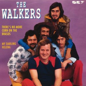 "the walkers"的封面