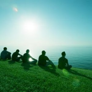 Image for 'If These Trees Could Talk'