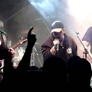 Hate Connection Braune Haben Bessere Laune Hate Connection Braune Haben Bessere Laune