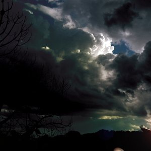 Image for 'Red Sparowes'