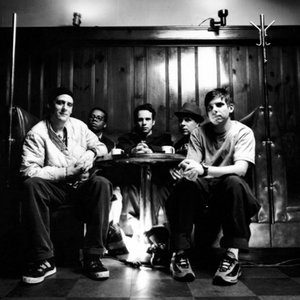 Image for 'Tortoise'