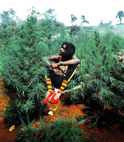 Peter Tosh