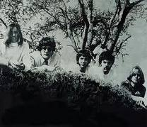 Fever Tree